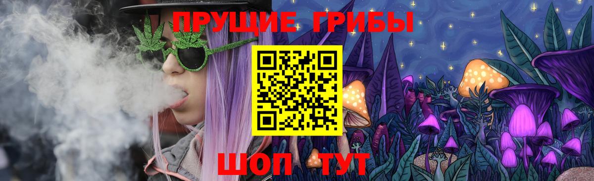 Галлюциногенные грибы GOLDEN TEACHER  Вход с VPN  Краснознаменск 